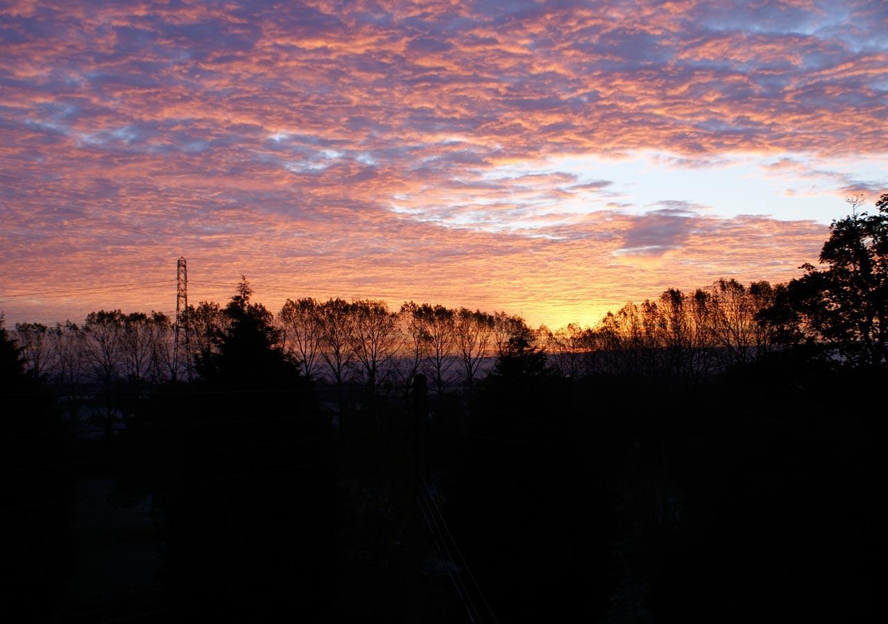 Haselor Farm B & B Evesham Bagian luar foto